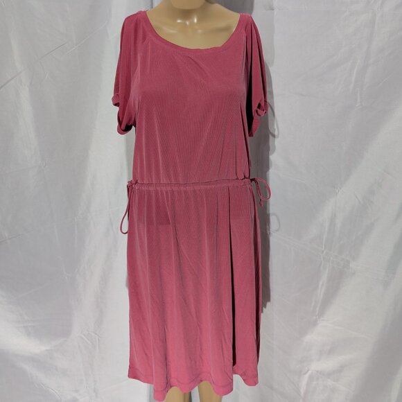Anthropologie Saturday Sunday Cupro Dress Women's Medium Cinched Waist - Picture 1 of 9